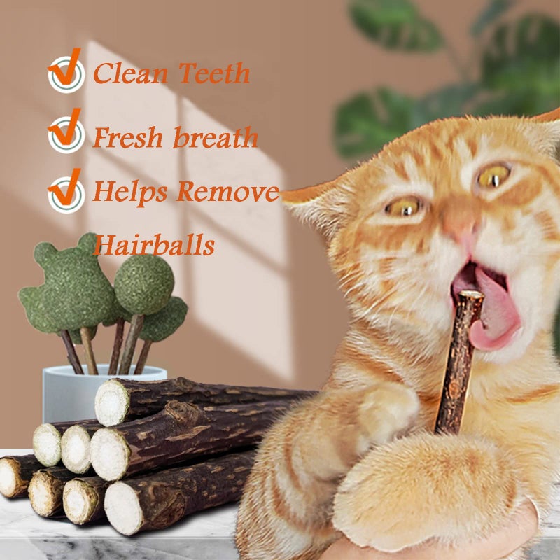 Ueerdand 10 PCS Catnip Sticks Organic Cat Chew Toys Natural Plant Matatabi Silvervine Chew Sticks Teeth Cleaning Chew Toy Kitten Kitty - Image 5
